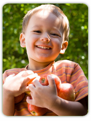 Boy holding apples